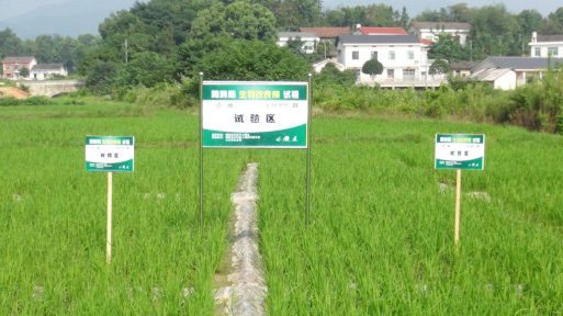 生物改良劑重金屬污染稻田修復實驗